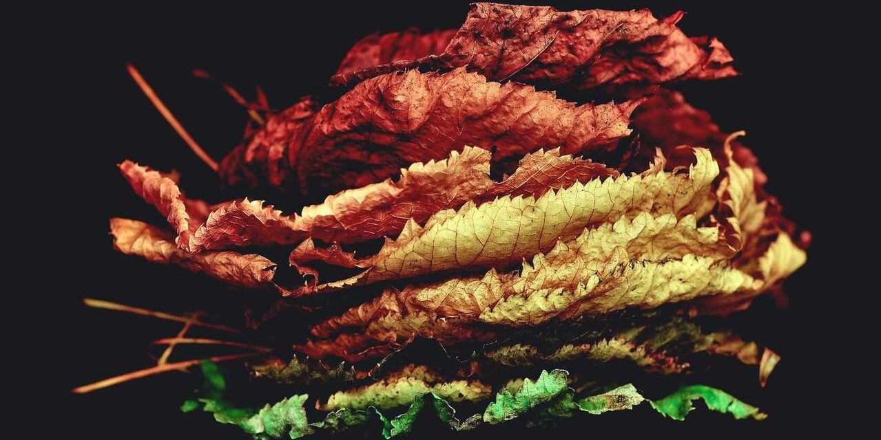 Labore voluptas nulla sit