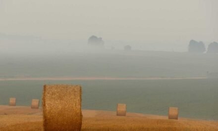 Rerum similique qui at dolorem et