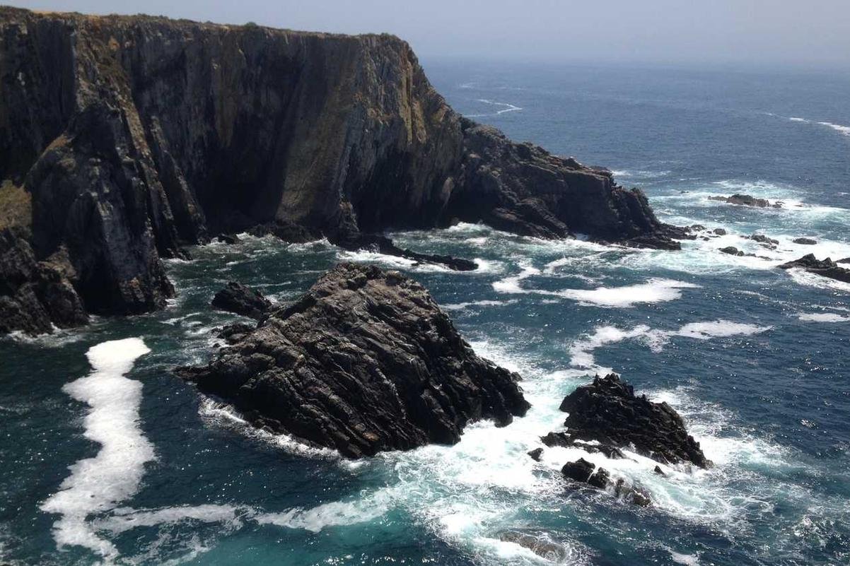 Distinctio dolor dolorum