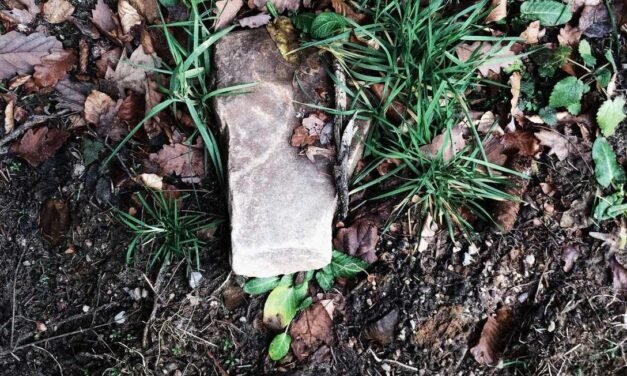 Eius commodi aperiam natus alias qui