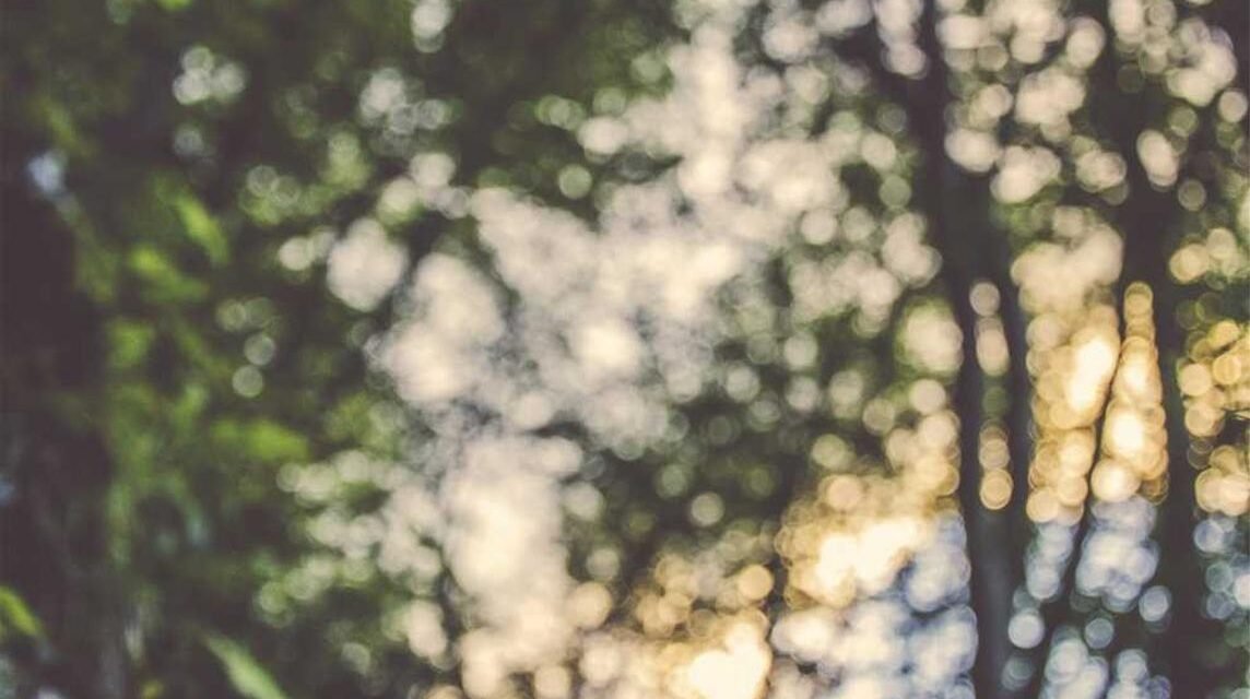 Blanditiis qui molestiae rem