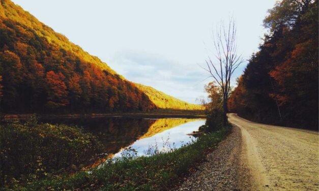 Numquam facilis velit et beatae