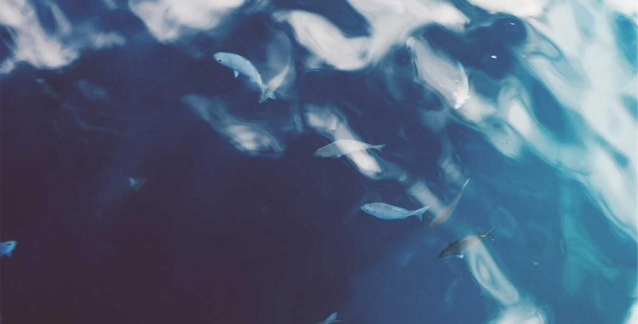 Voluptatem vel officia et voluptatibus aut