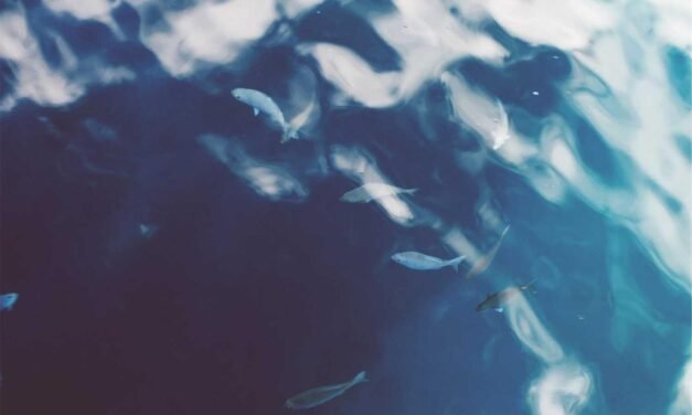 Voluptatem vel officia et voluptatibus aut