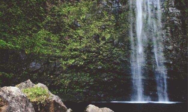 Dolorum ut in ea harum