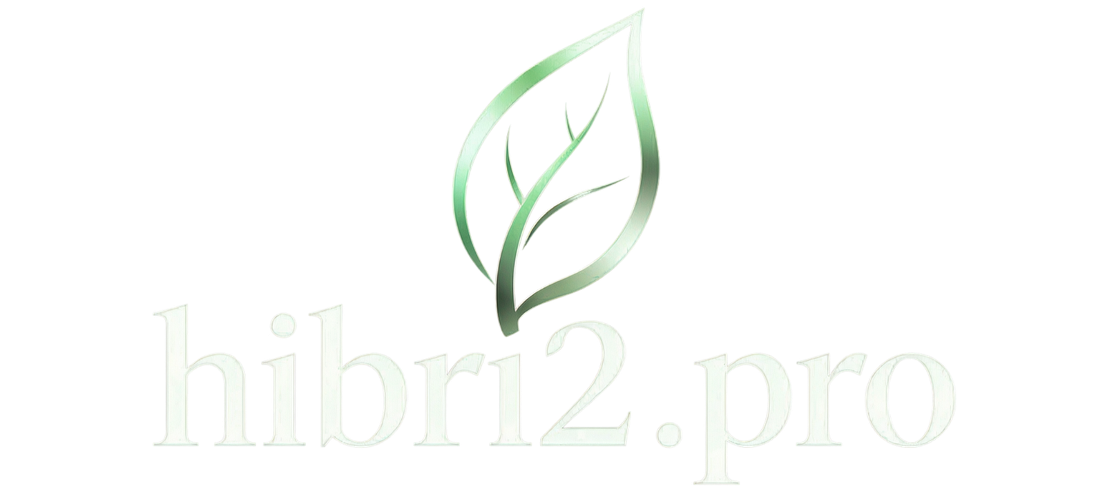 hibri2.pro